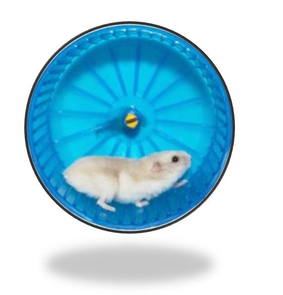 Get Off the Hamster Wheel
